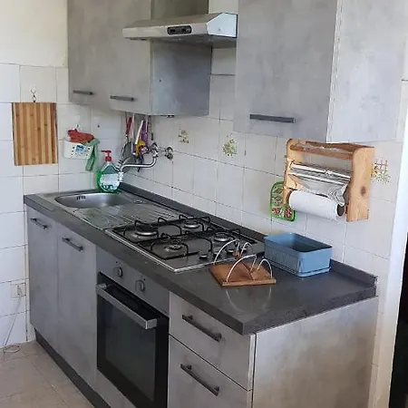 Il Geco E Il Gatto Anzio
