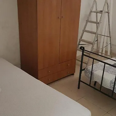 Il Geco E Il Gatto