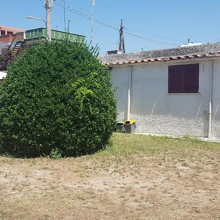 Hébergement de vacances Il Geco E Il Gatto Anzio