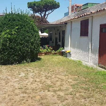 Il Geco E Il Gatto Anzio